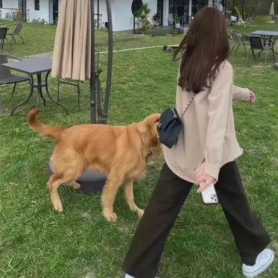 侠盗兄弟