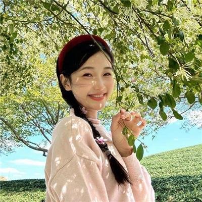 崩坏人生